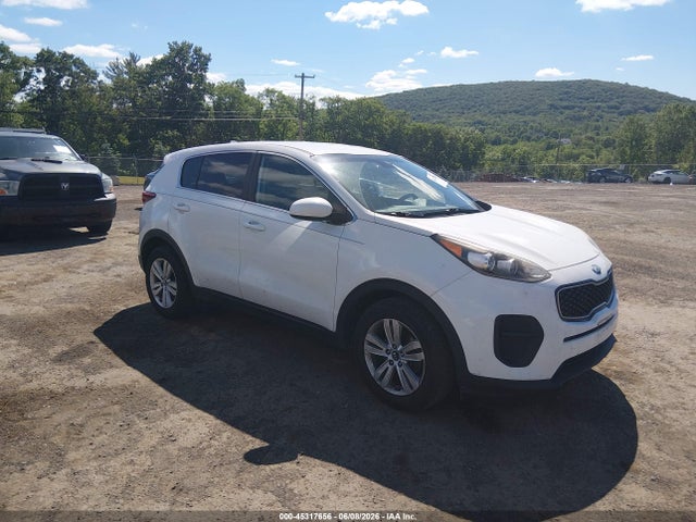 Salvage Kia Sportage Image