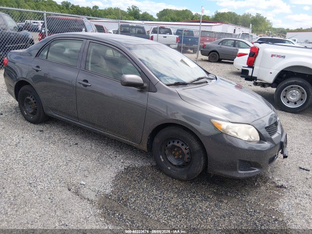 Salvage Toyota Corolla Image