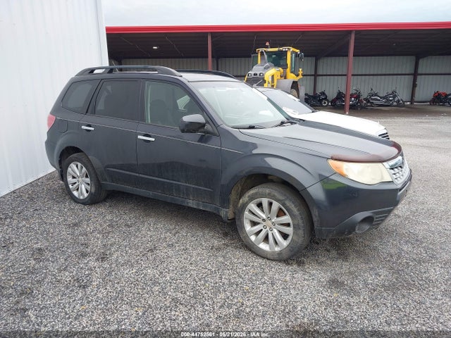 Salvage Subaru Forester Image