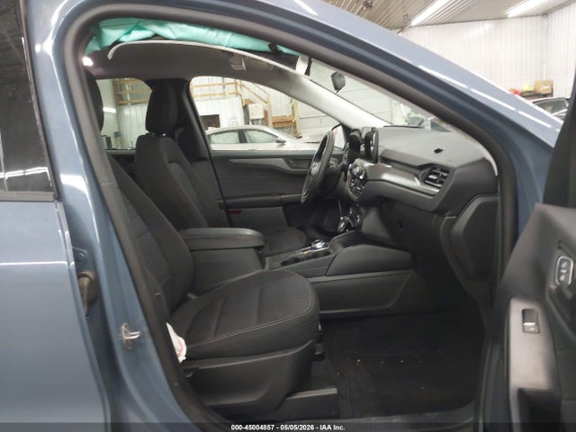 Ford Escape Active