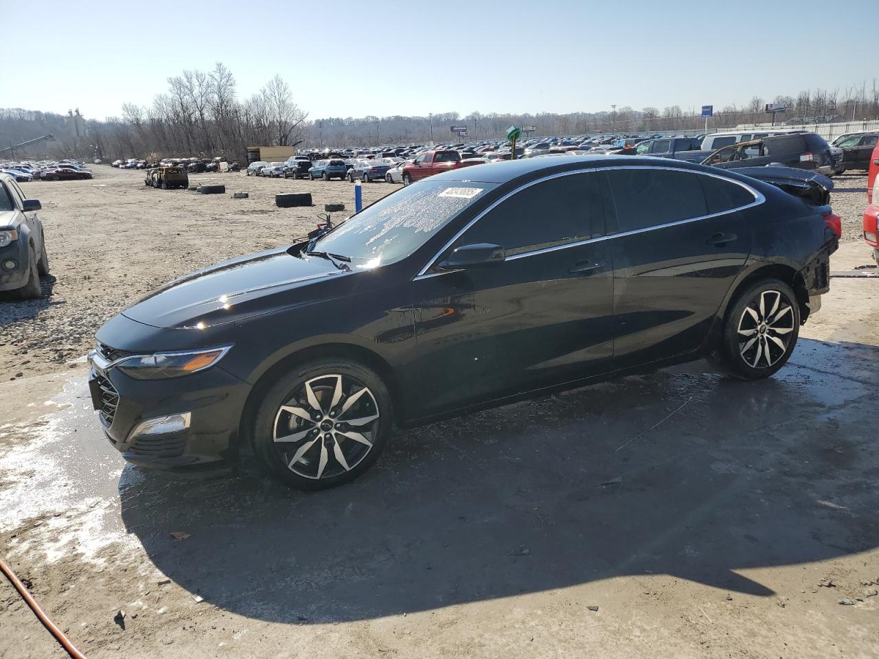 Salvage Chevrolet Malibu Image
