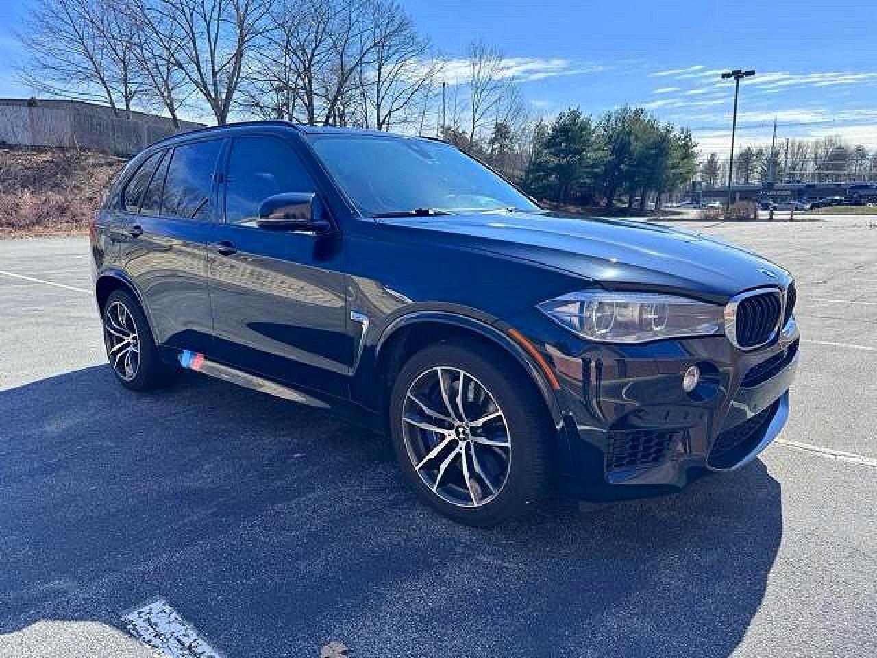 Salvage BMW X Series Image