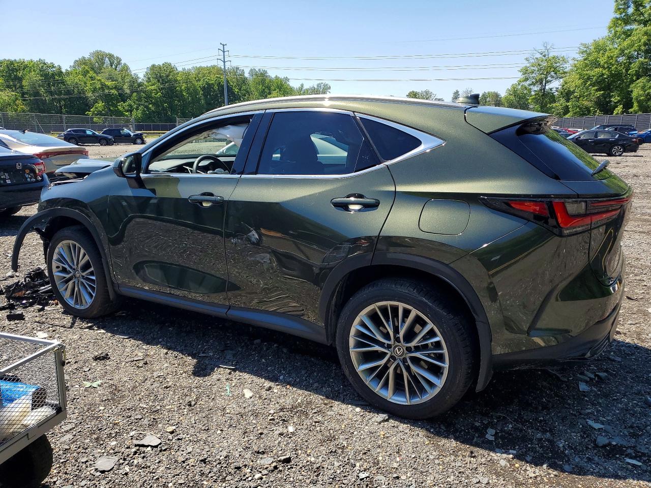 Lexus NX Luxury