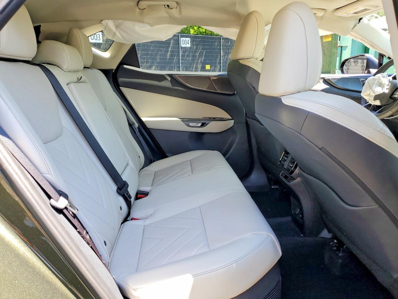 Lexus NX Luxury