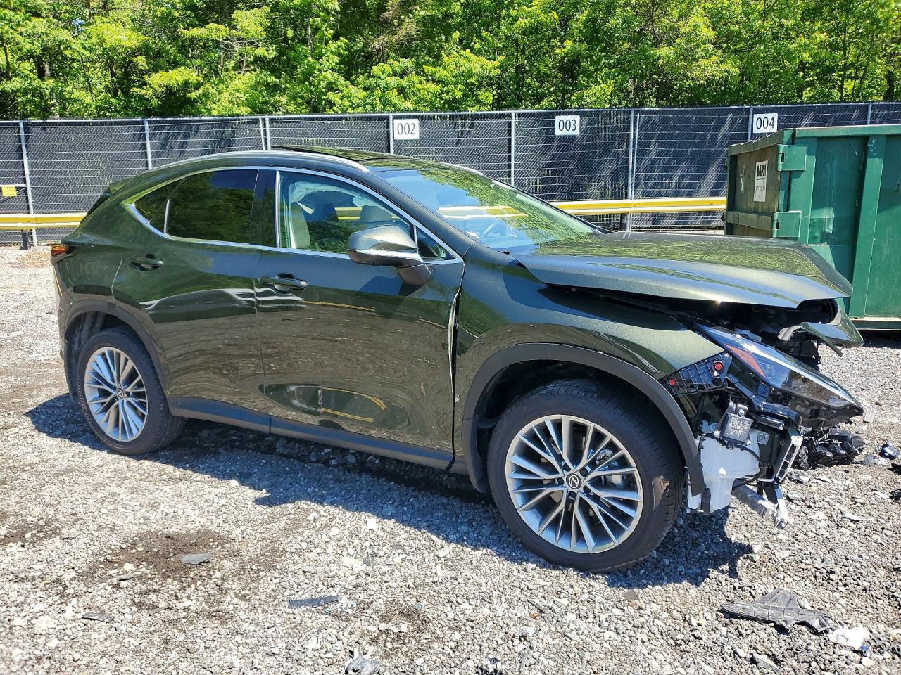 Lexus NX Luxury