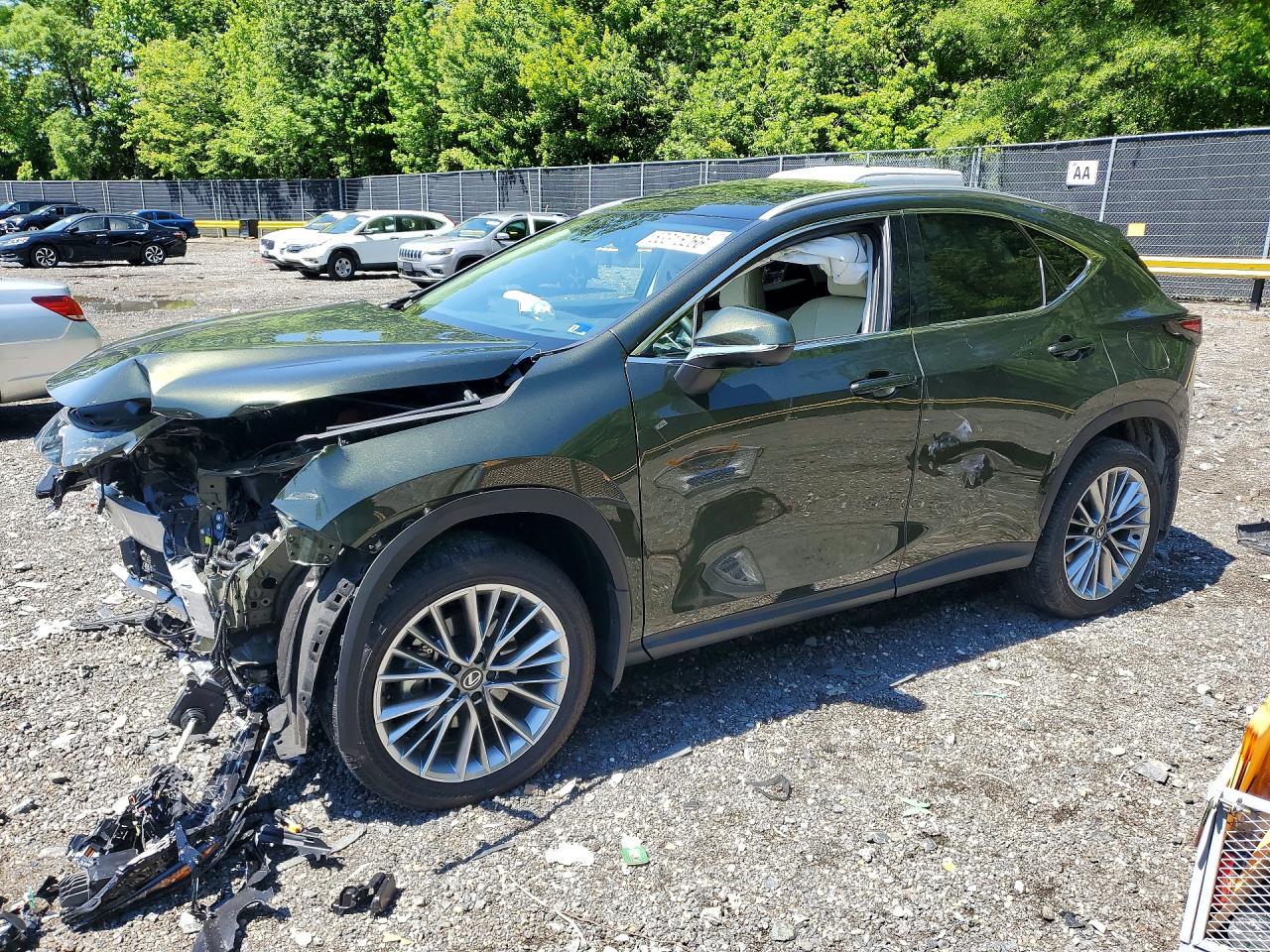 Salvage Lexus NX Image