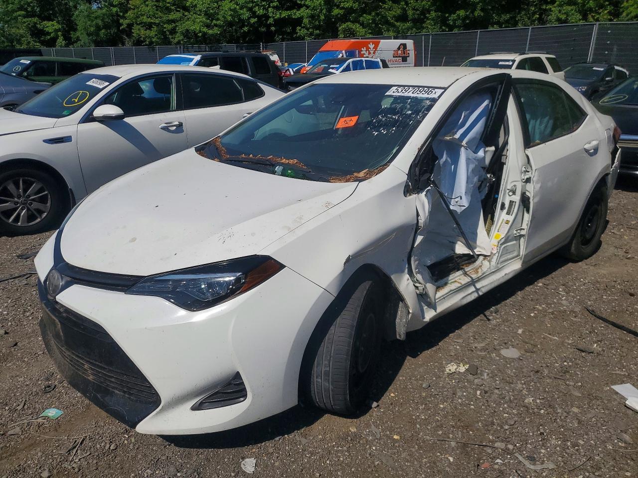 Salvage Toyota Corolla Image