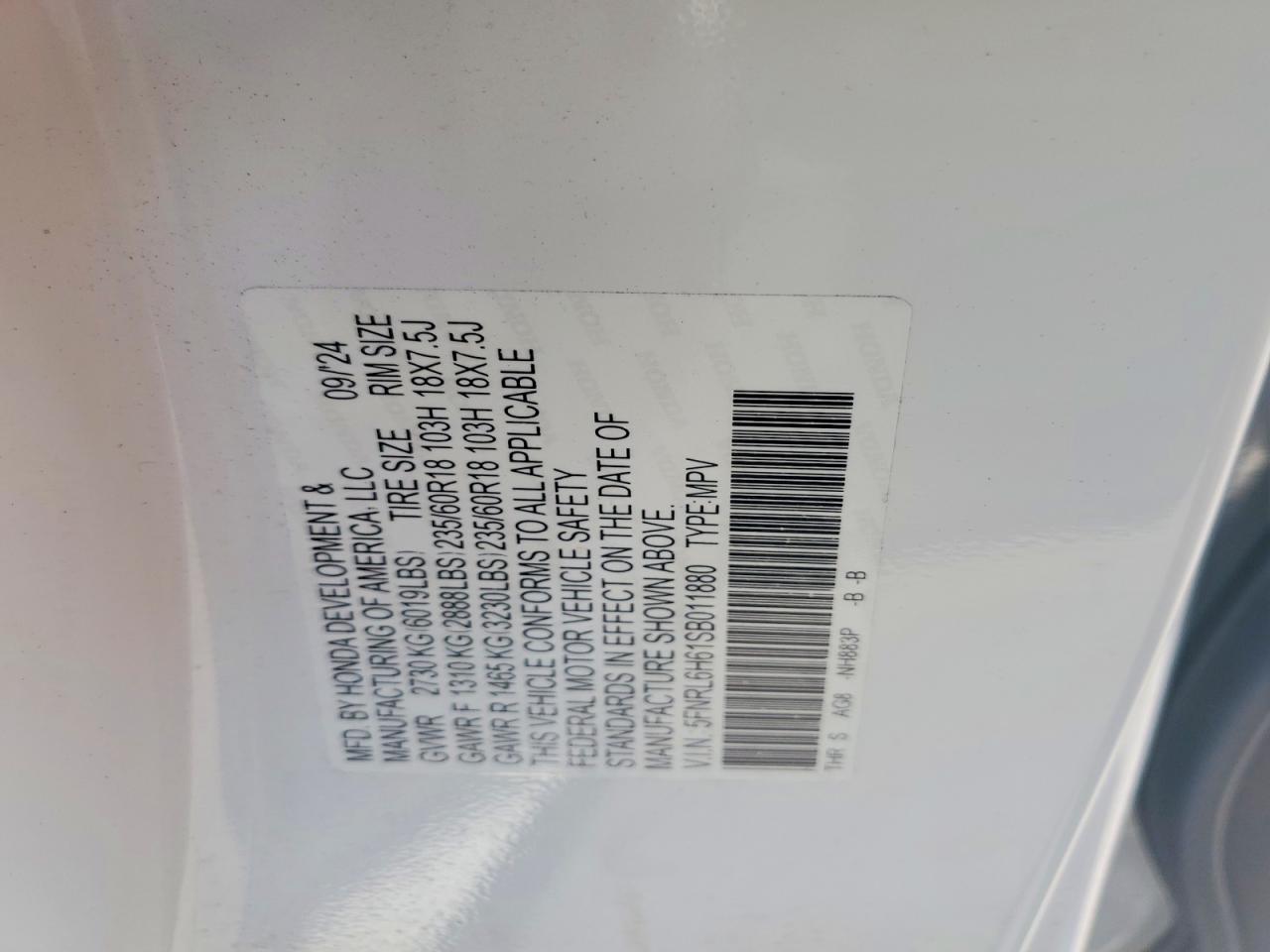 Honda Odyssey Exl