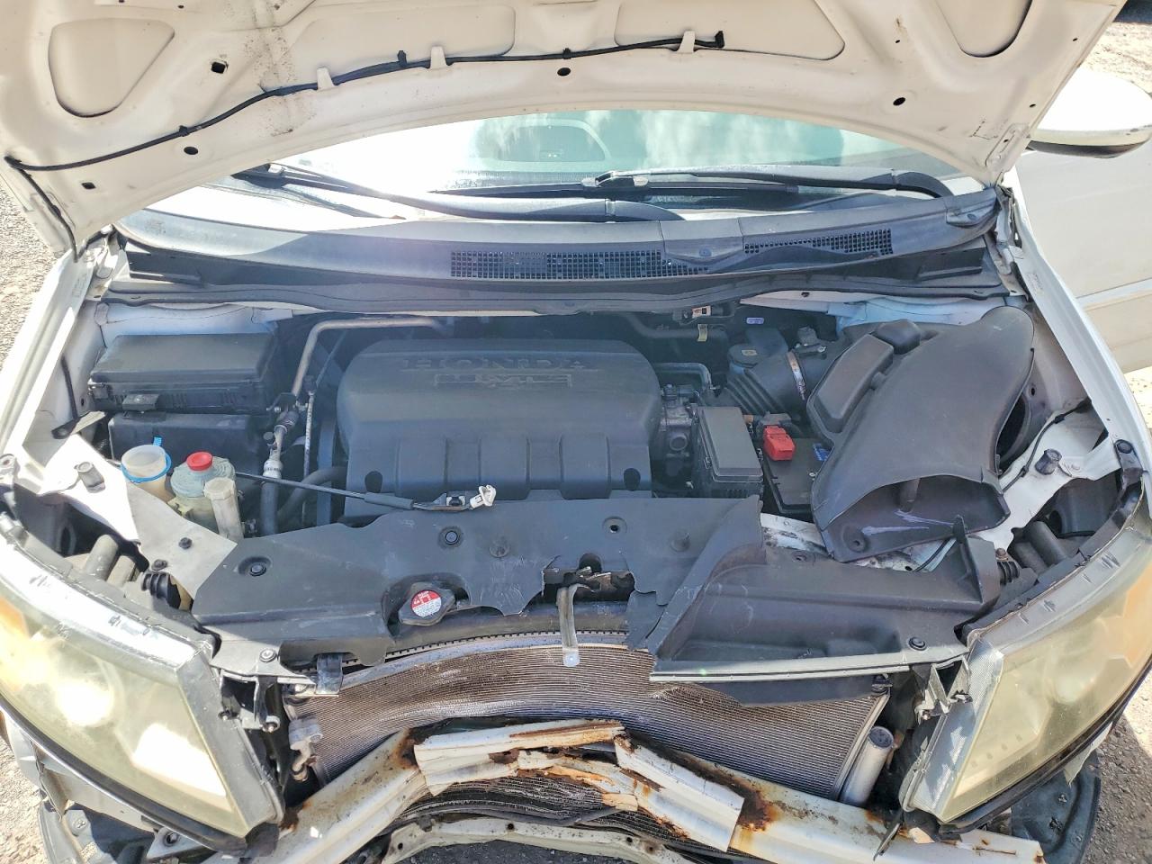 Honda Odyssey Exl