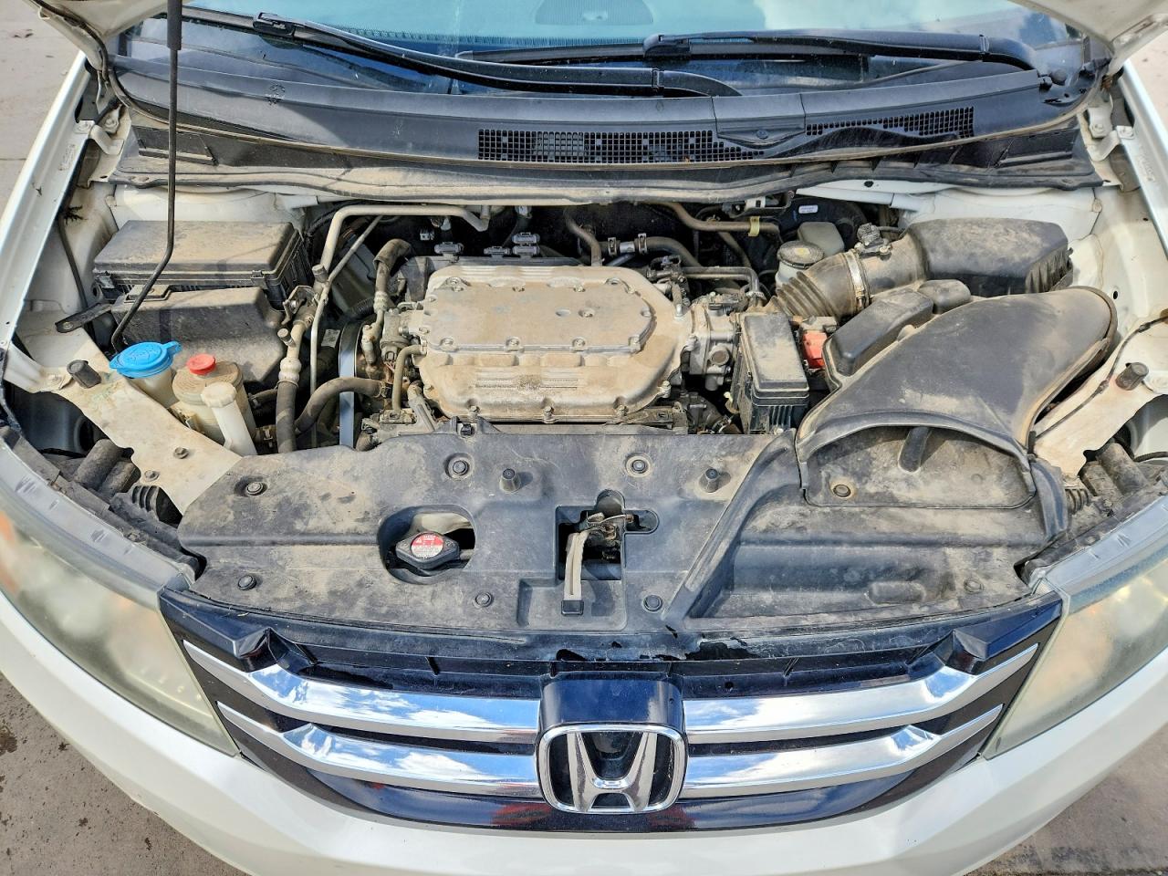 Honda Odyssey Exl