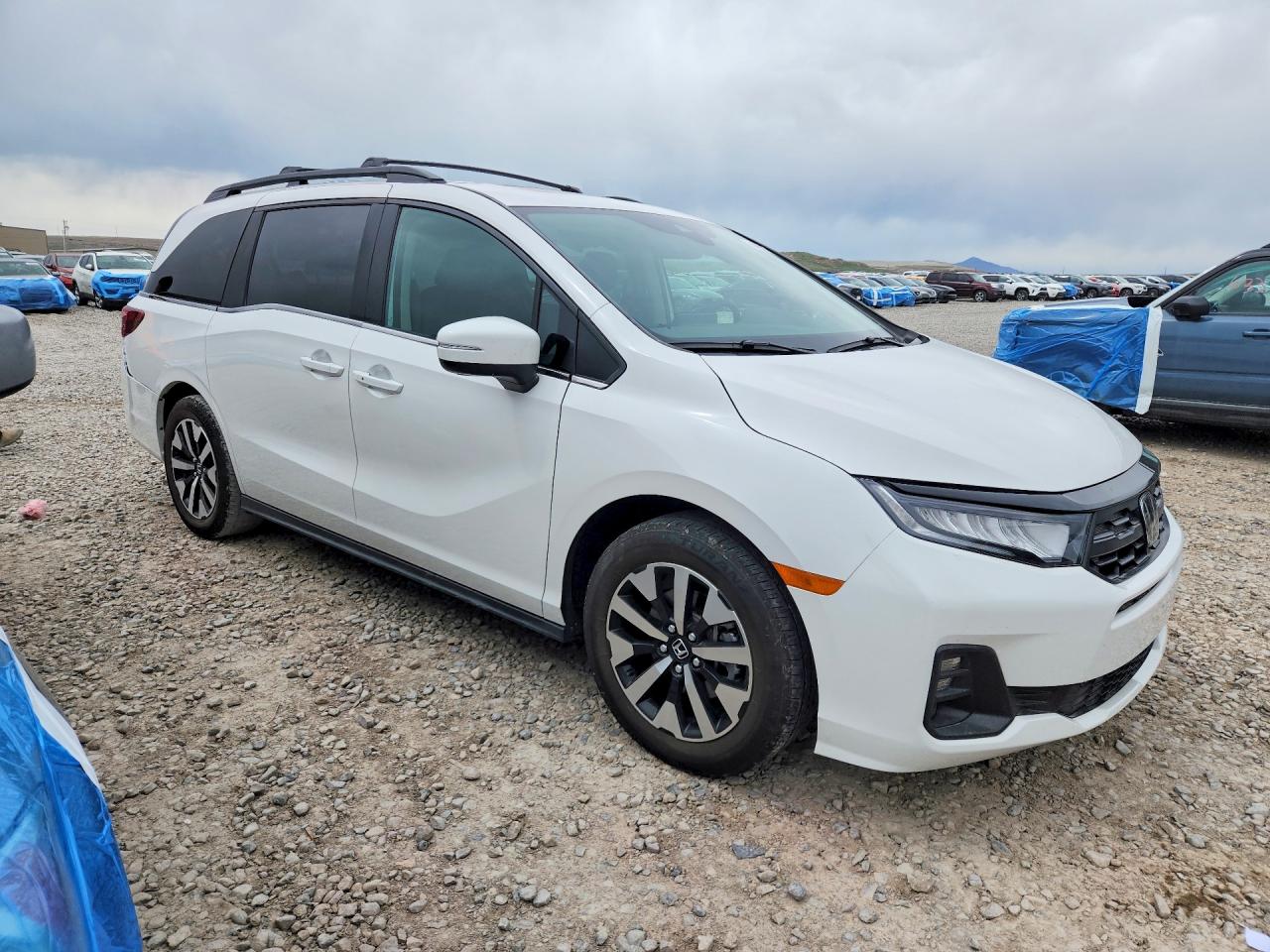 Honda Odyssey Exl