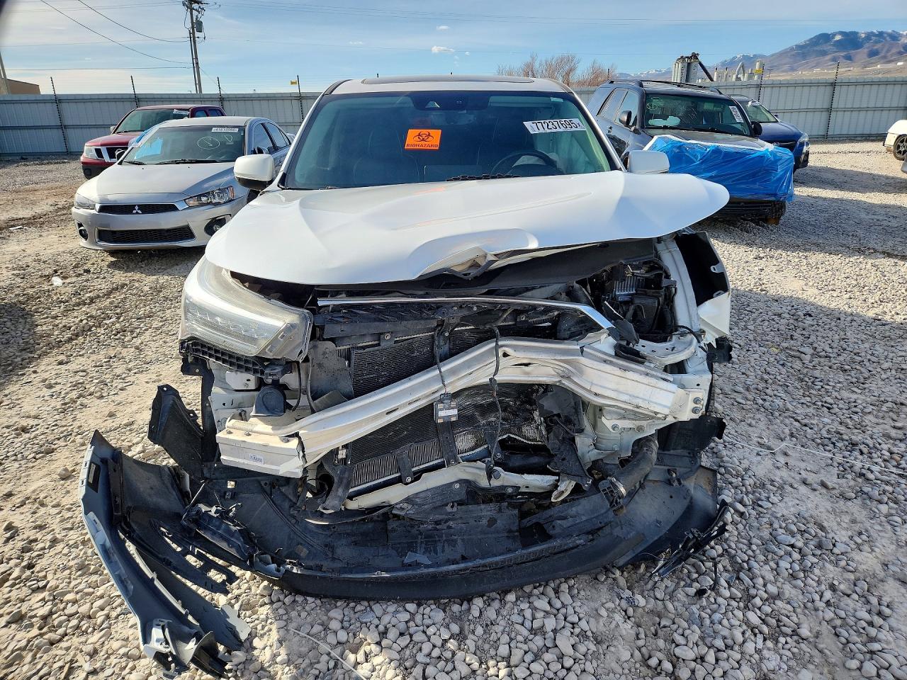 Acura RDX Advance