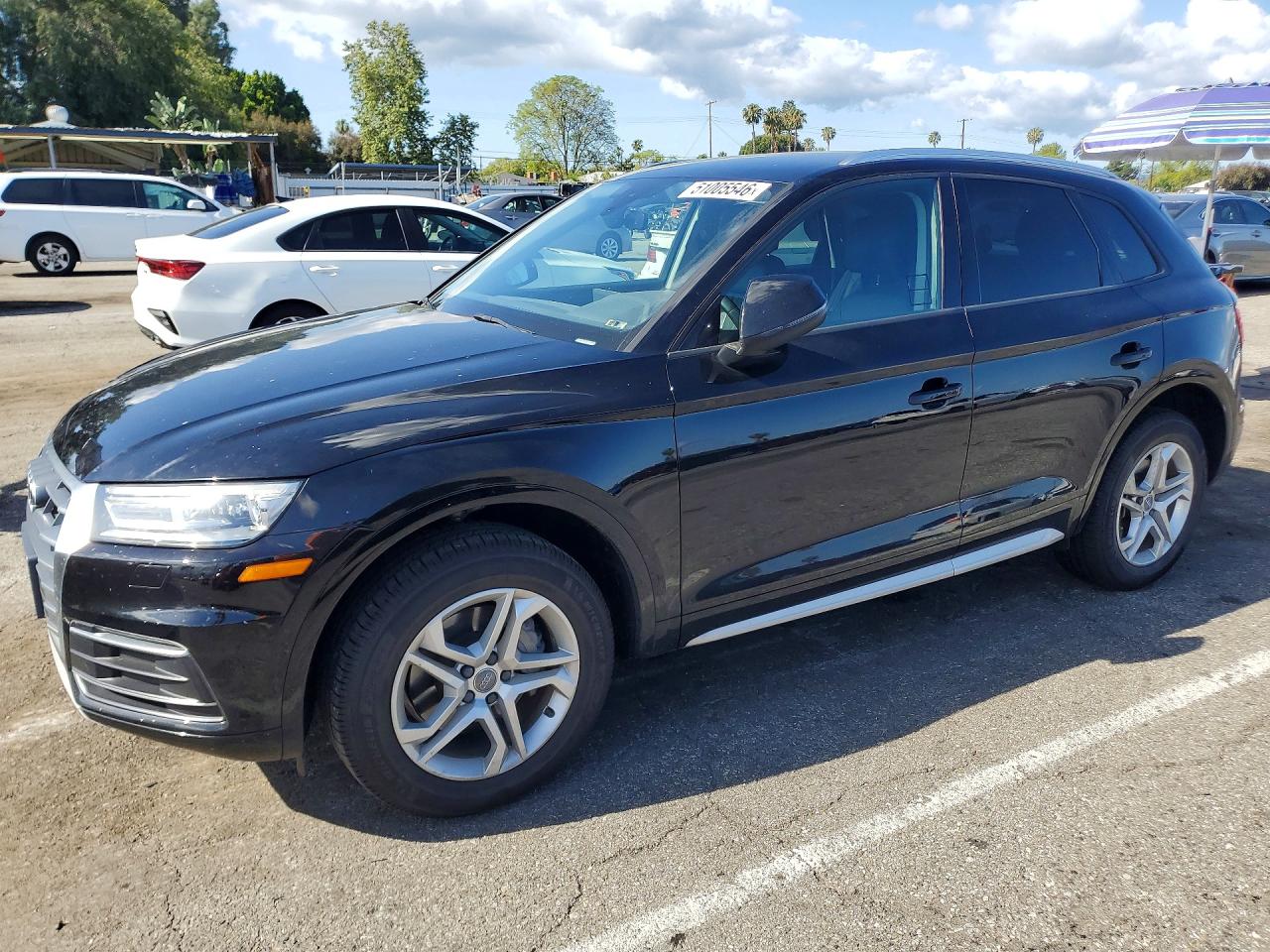 Salvage Audi Q5 Image