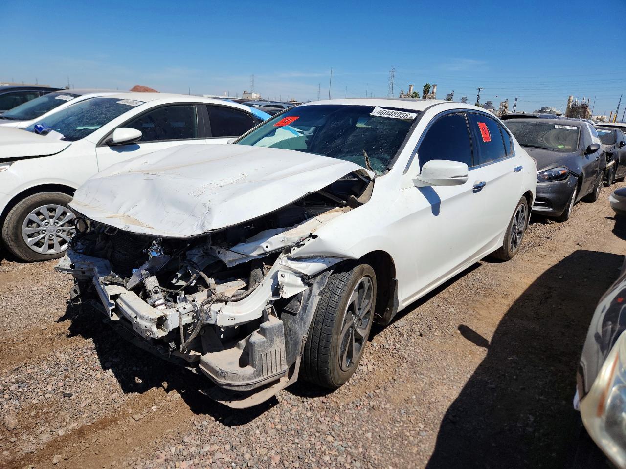 Salvage Honda Accord Image