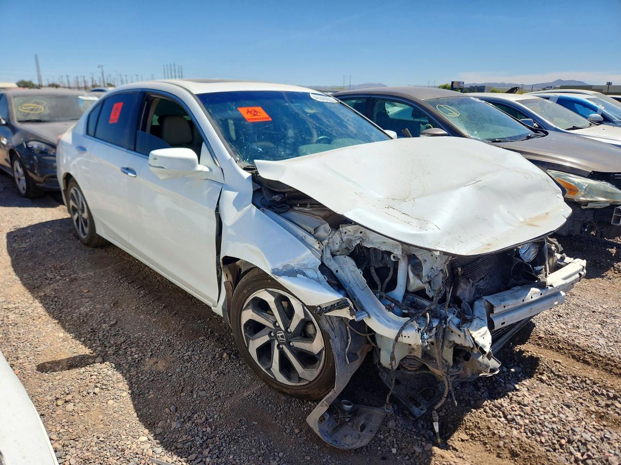 Honda Accord Exl