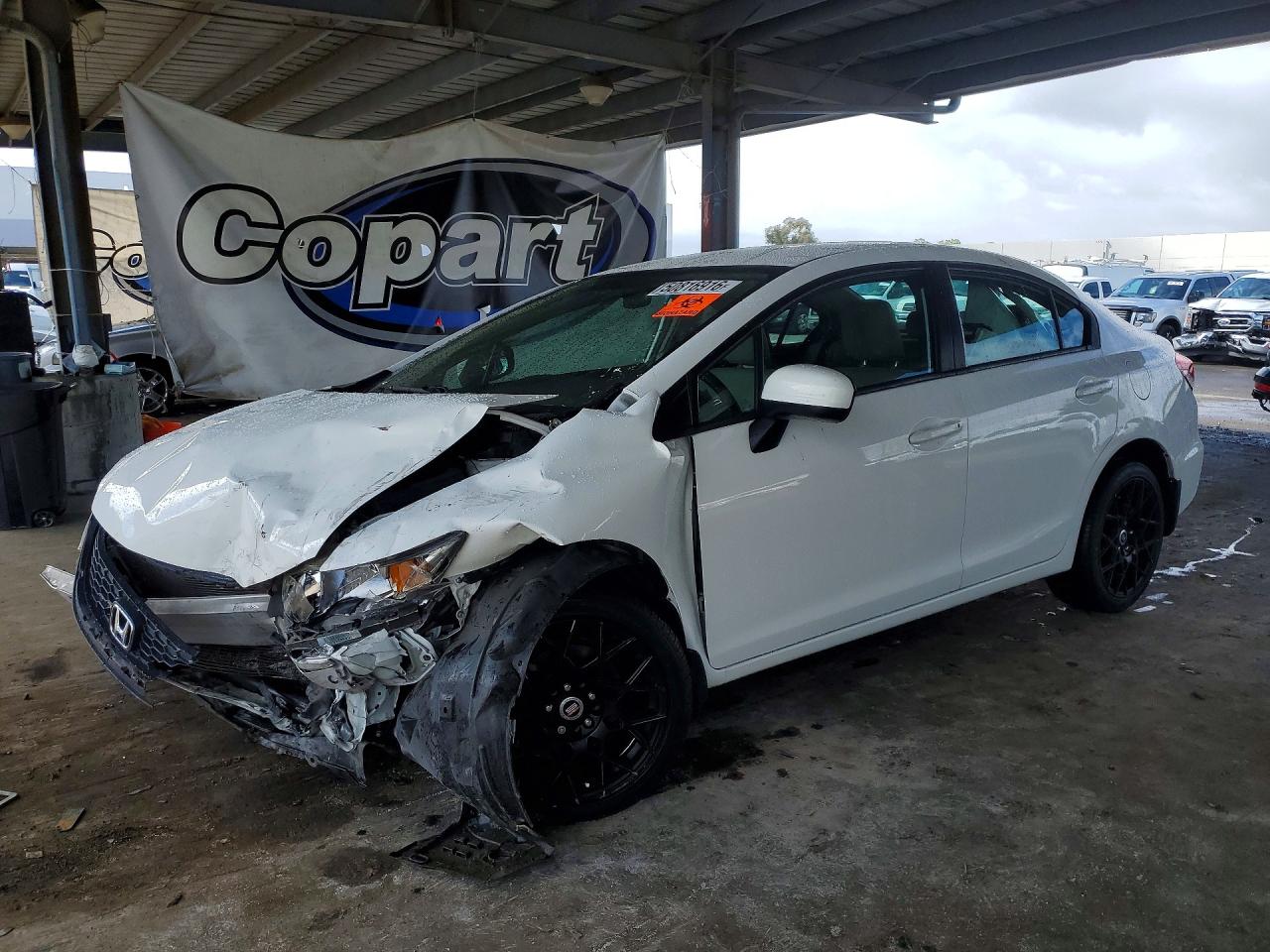 Salvage Honda Civic Image