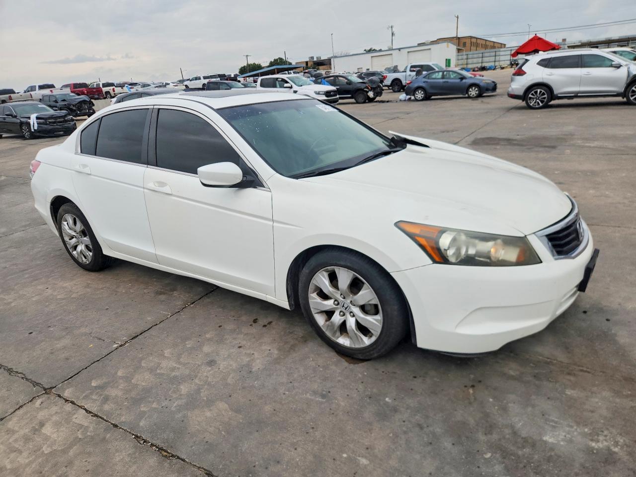 Honda Accord Exl
