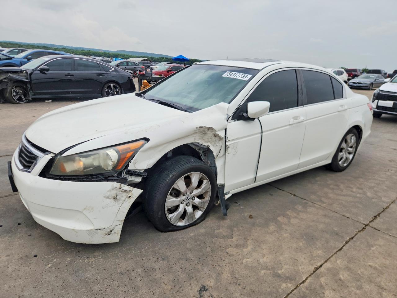 Salvage Honda Accord Image