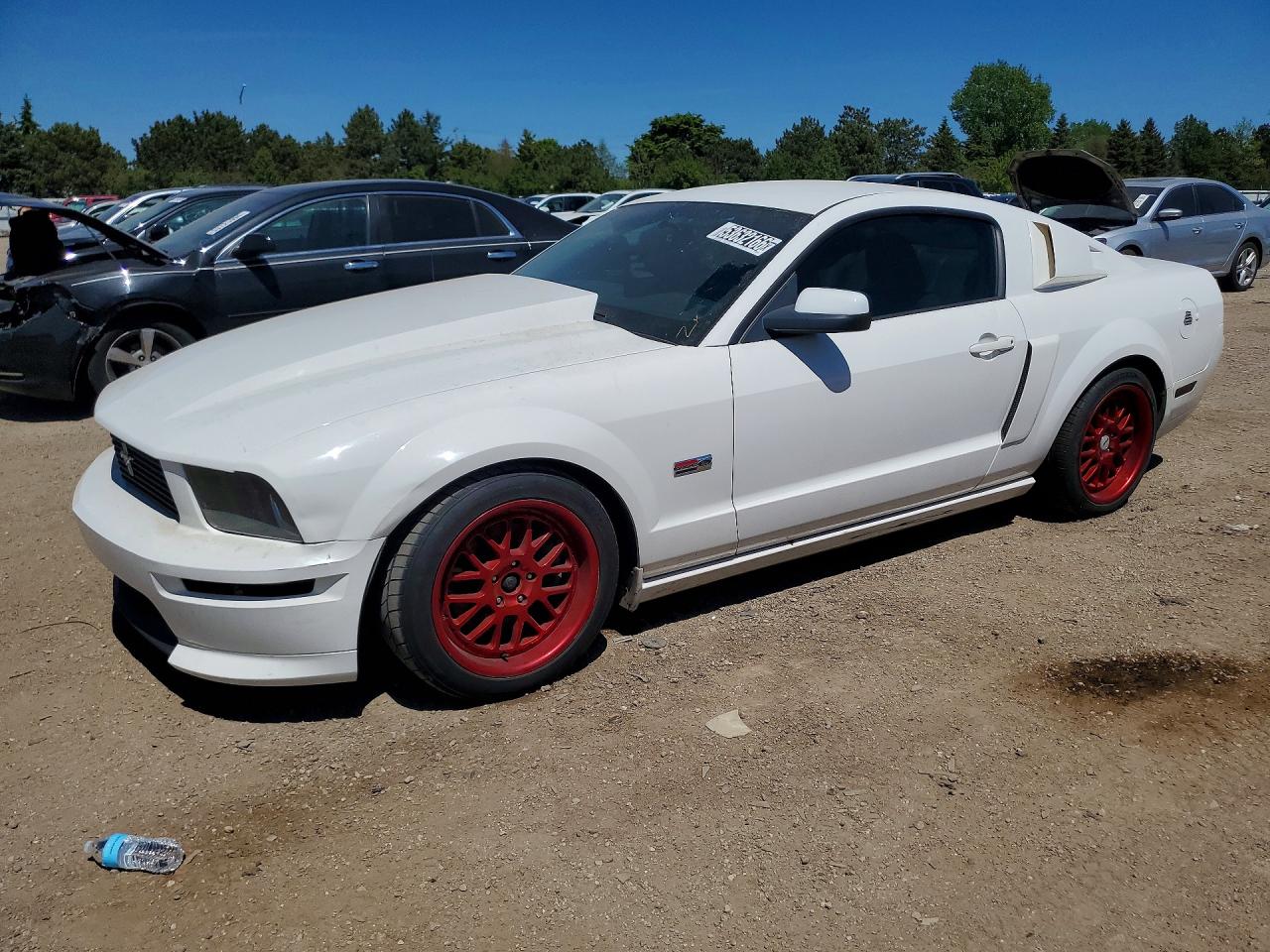 Salvage Ford Mustang Image