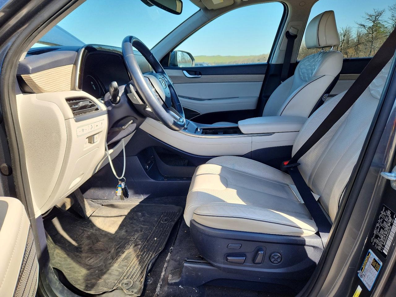 Hyundai PALISADE Limited