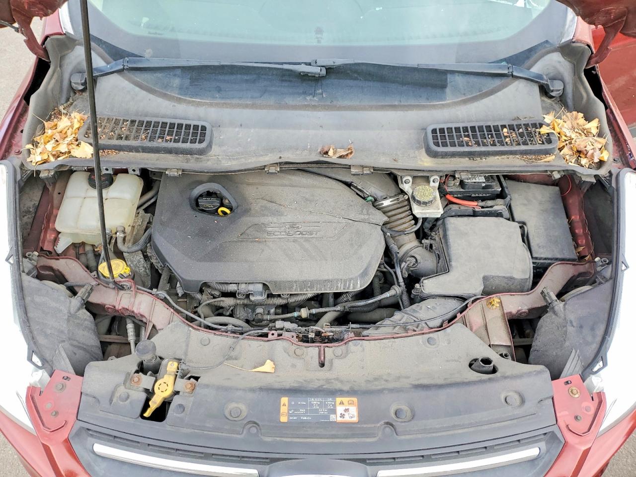 Ford Escape Se