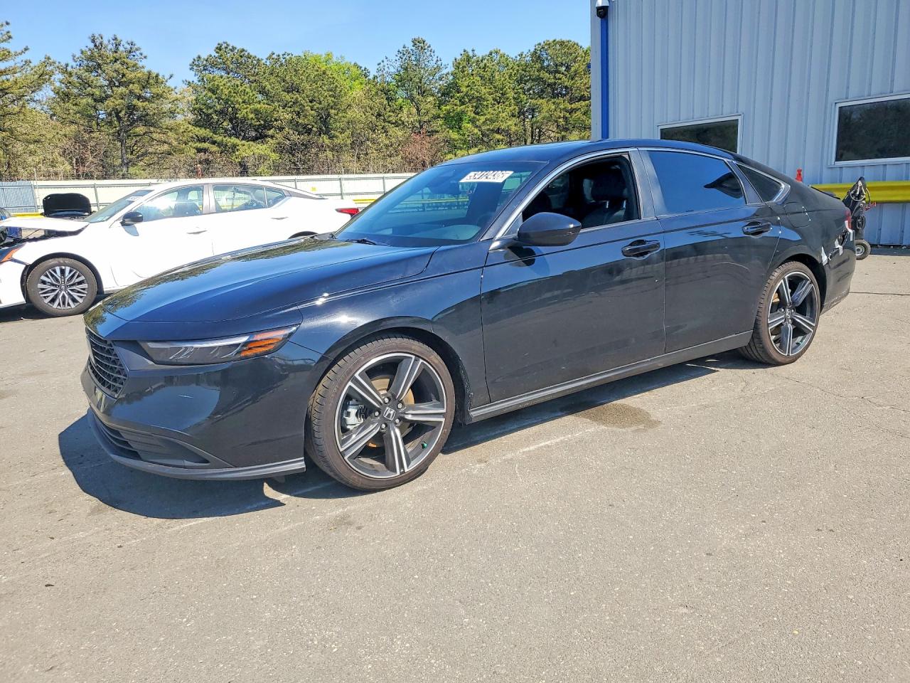 Salvage Honda Accord Image