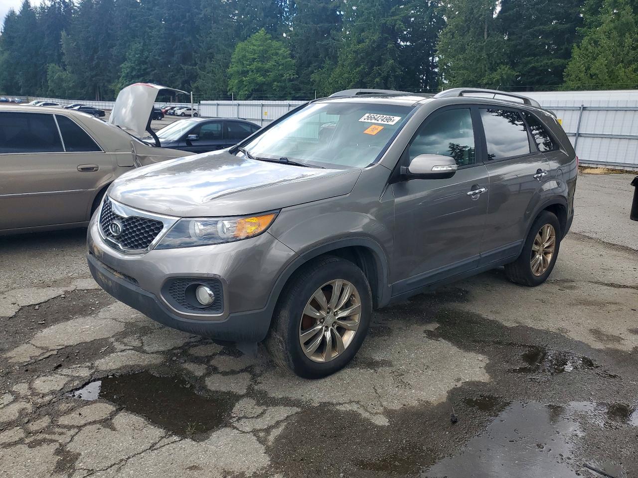 Salvage Kia Sorento Image