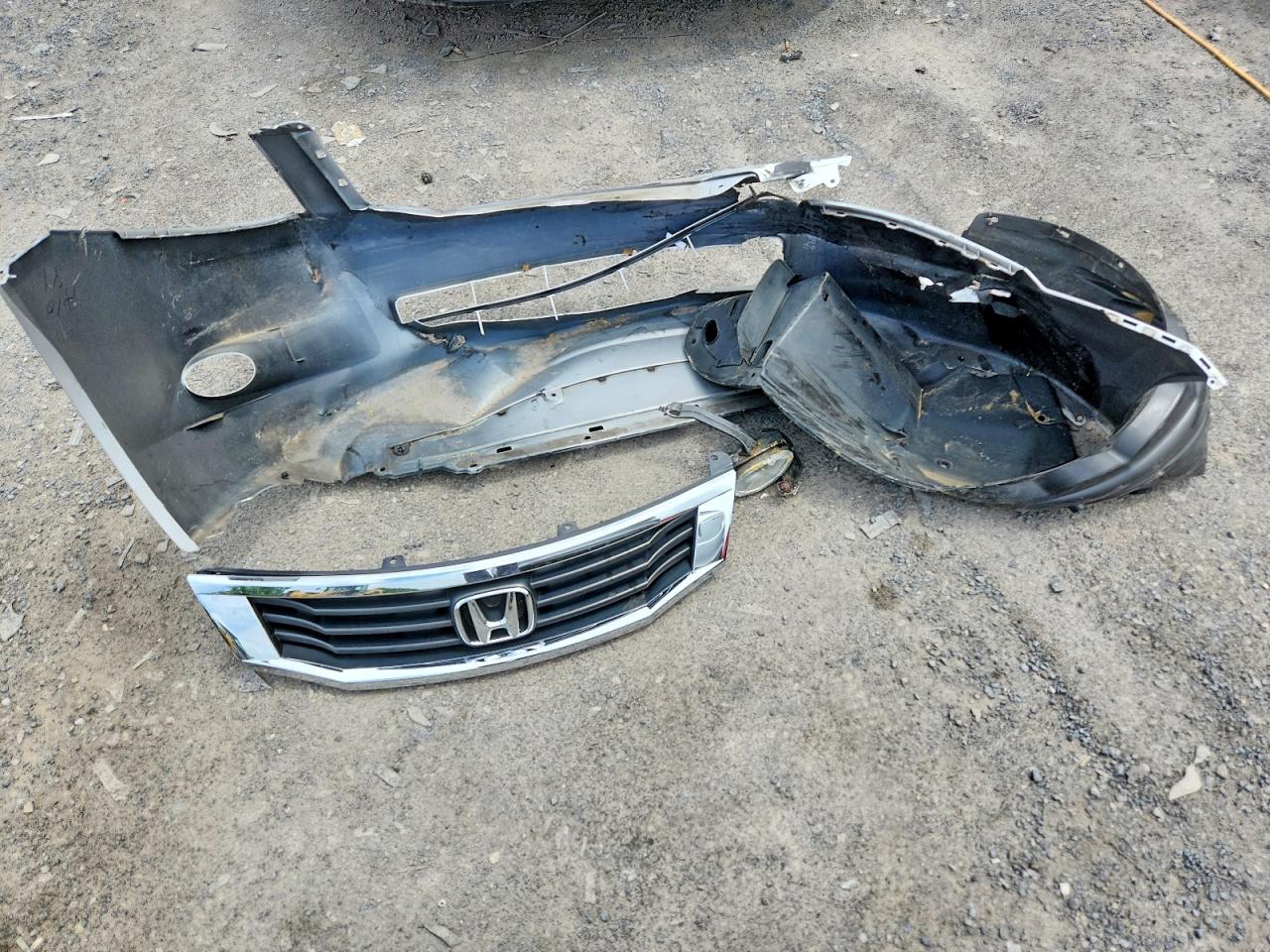 Honda Accord Exl