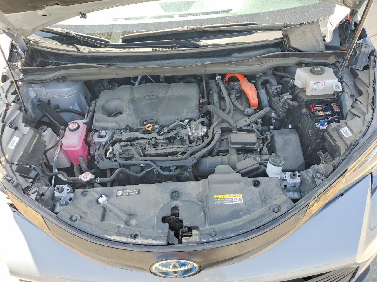 Toyota Sienna Woodland Edition