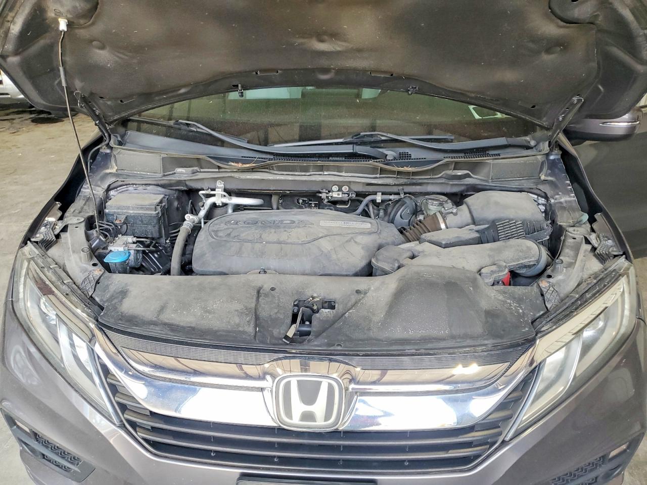 Honda Odyssey Exl