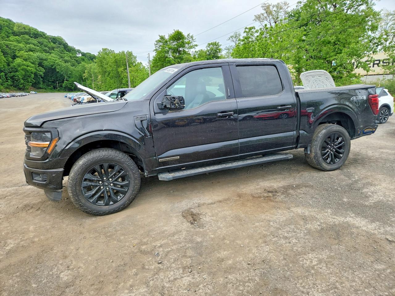 Salvage Ford F-150 Image