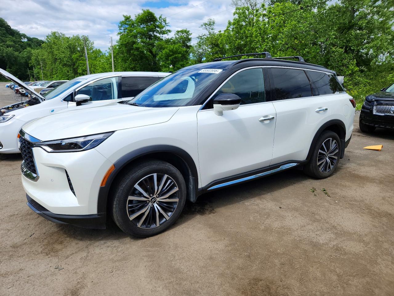 Salvage INFINITI Qx Image
