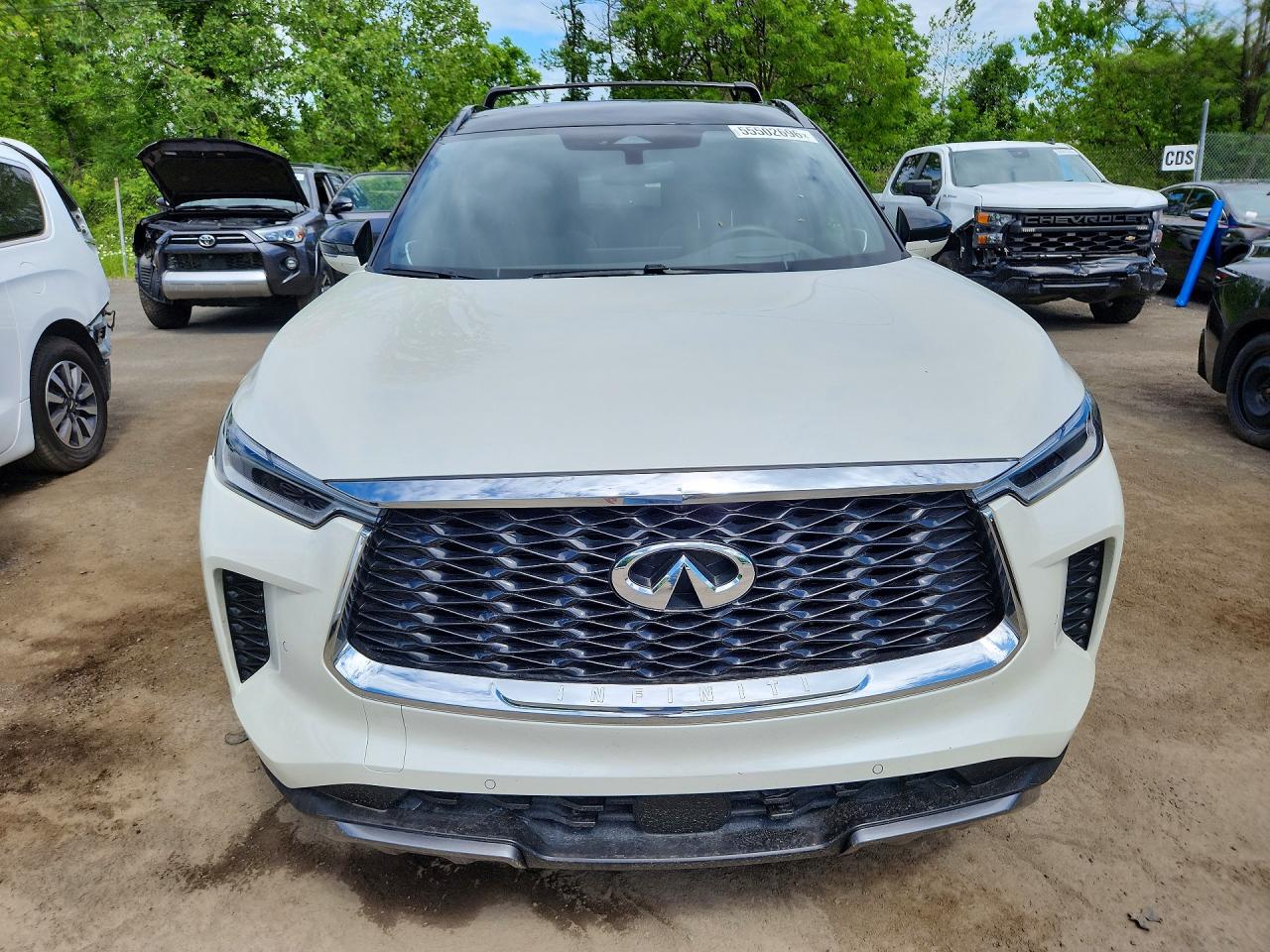 INFINITI Qx Autograph