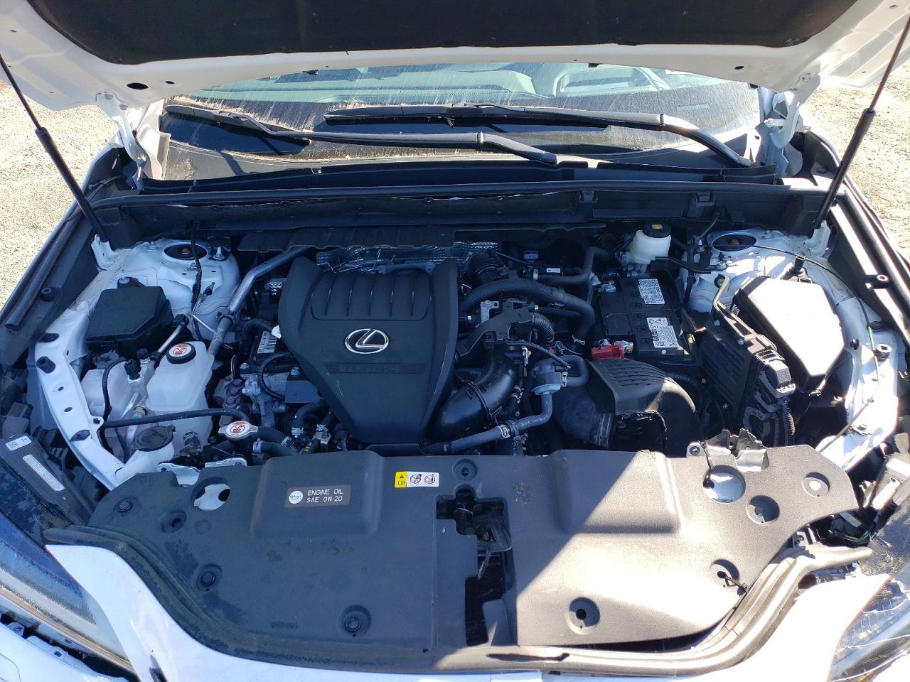 Lexus NX F Sport Handling