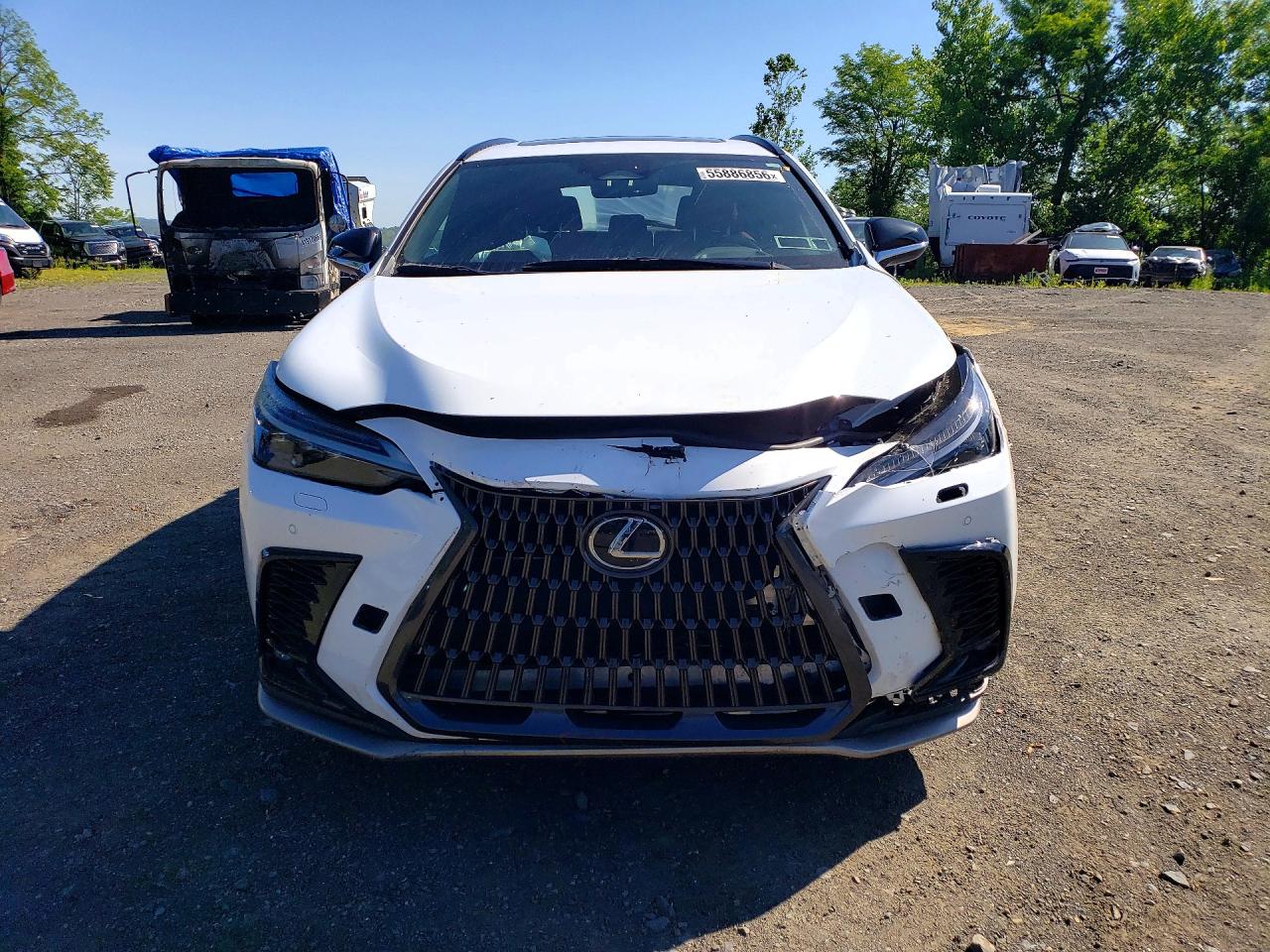 Lexus NX F Sport Handling