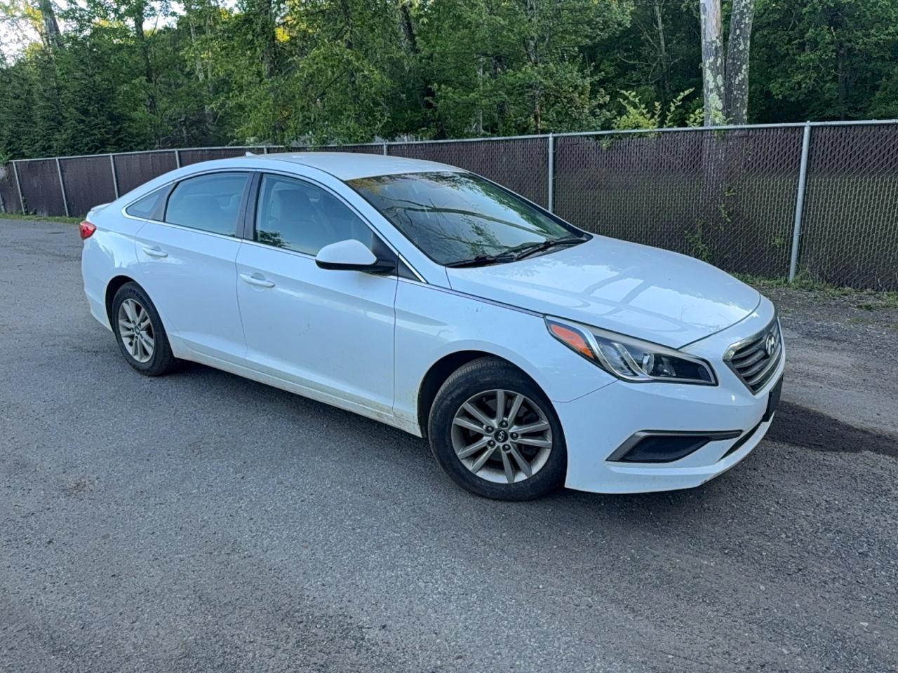 Salvage Hyundai SONATA Image