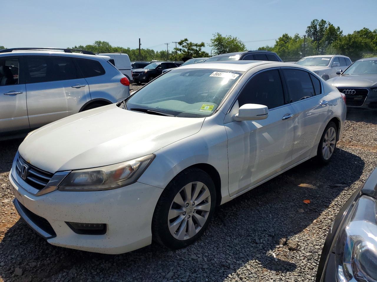 Salvage Honda Accord Image