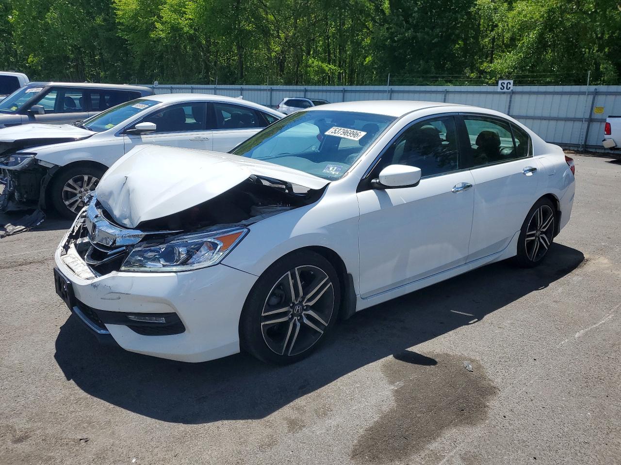 Salvage Honda Accord Image