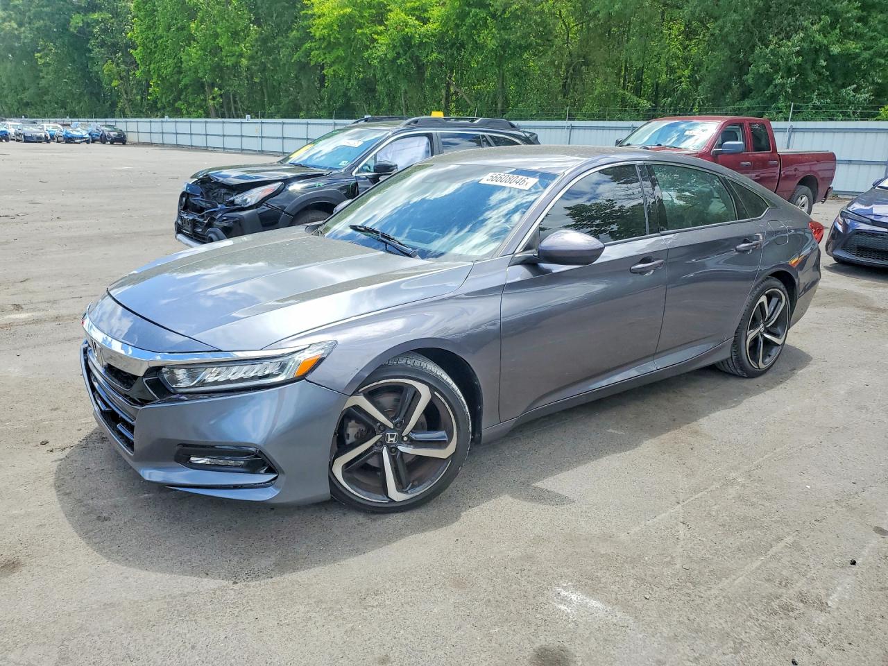 Salvage Honda Accord Image