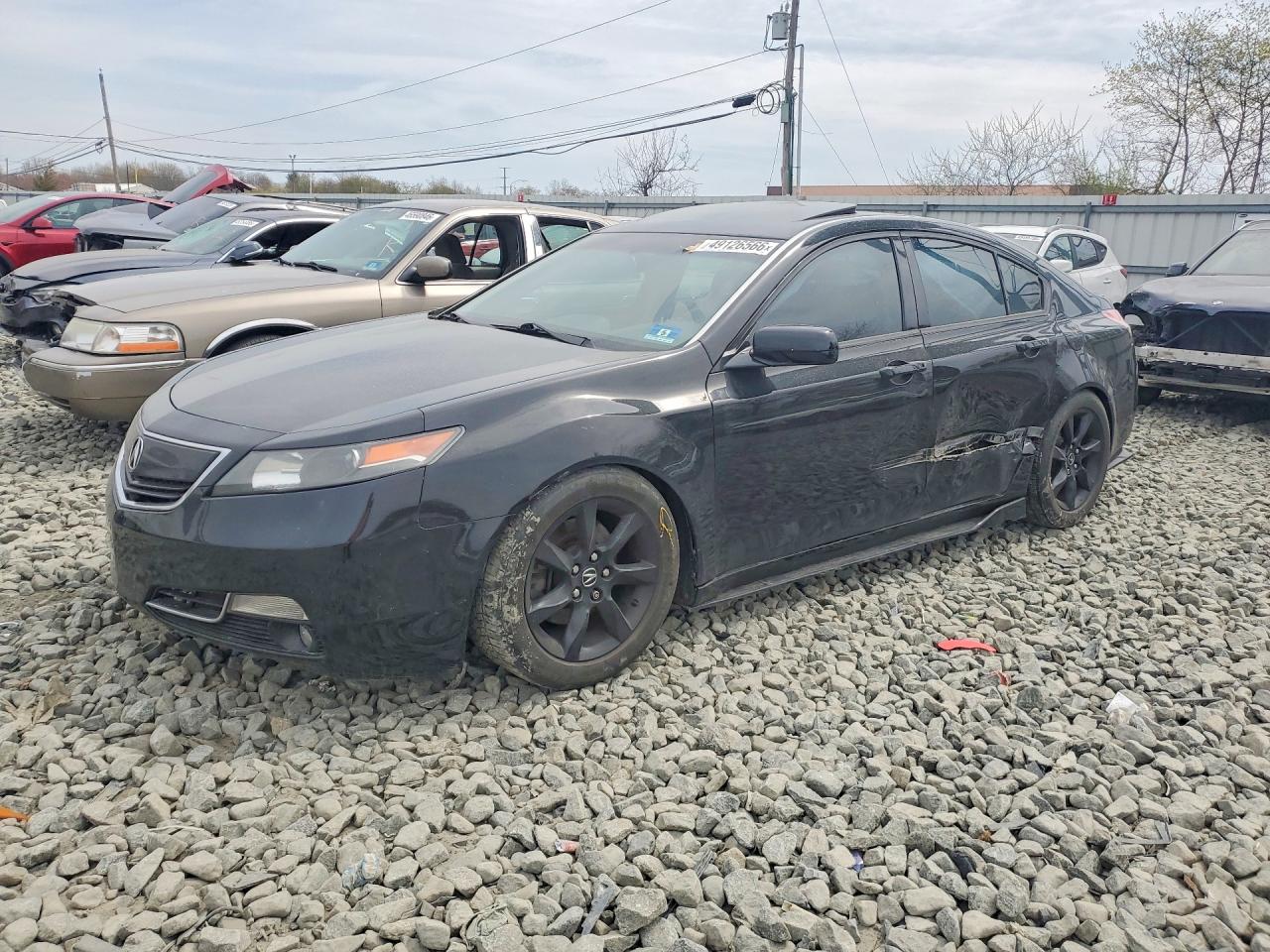 Salvage Acura TL Image