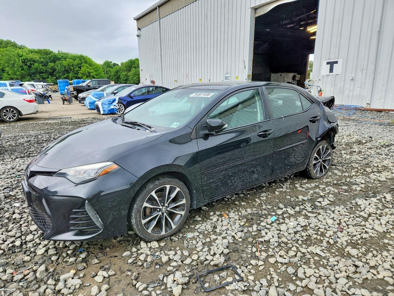Salvage Toyota Corolla Image