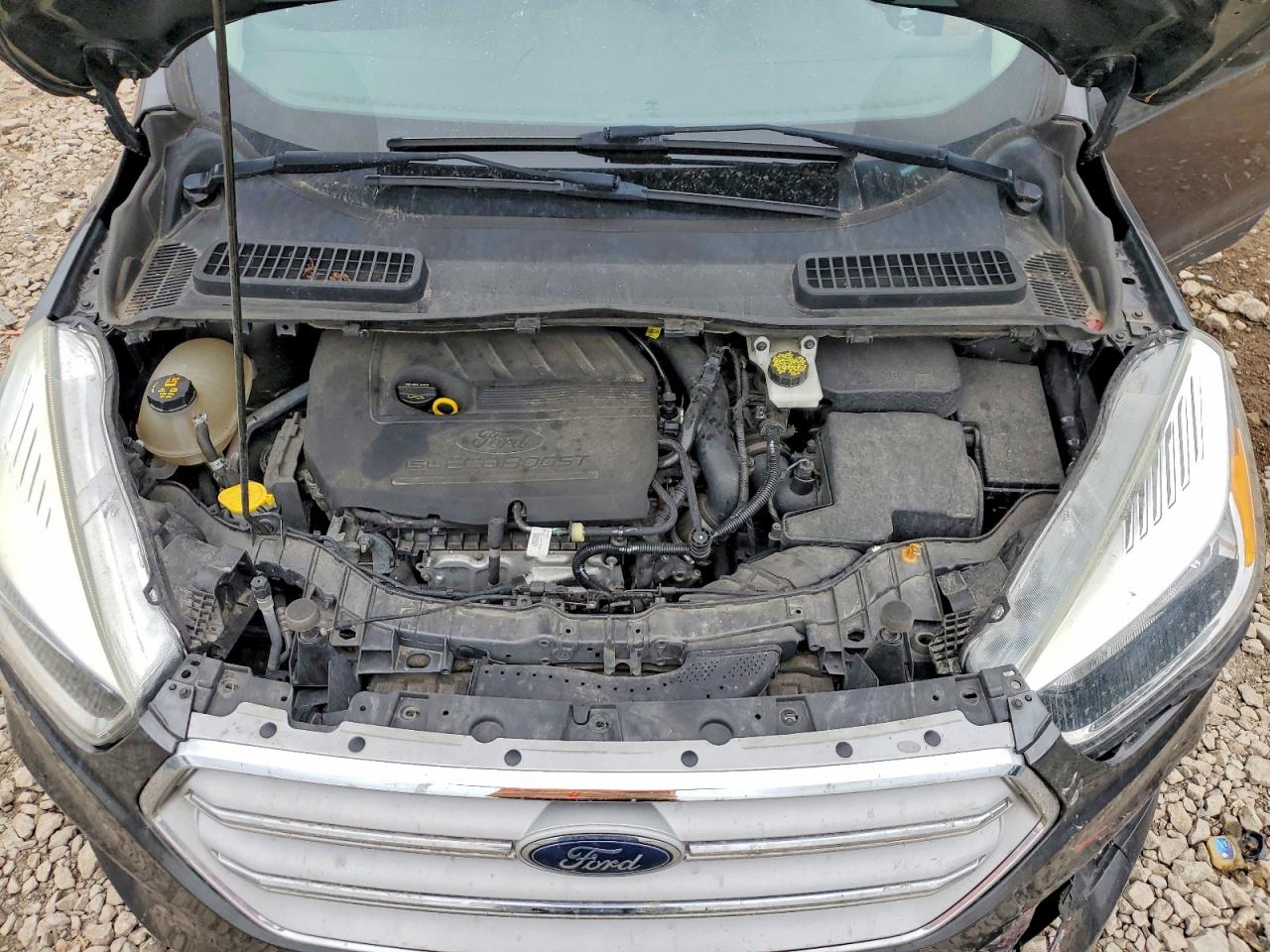 Ford Escape Se