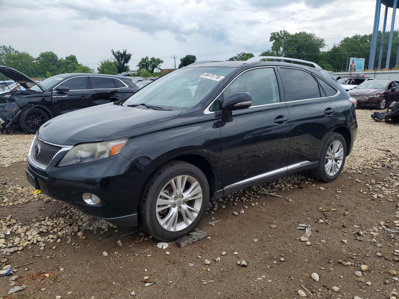 Salvage Lexus RX Image