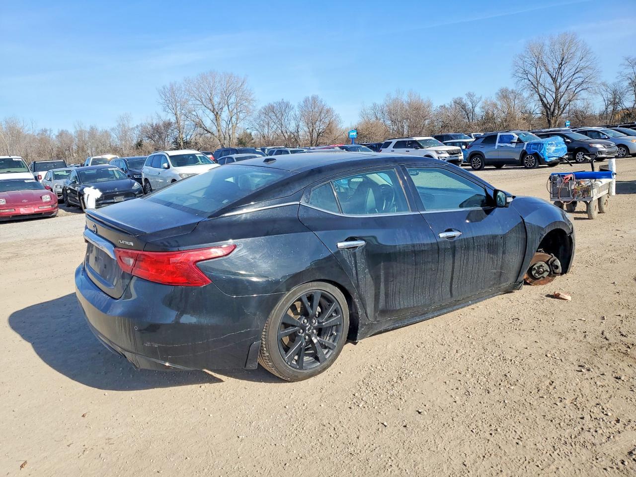 Nissan Maxima Platinum