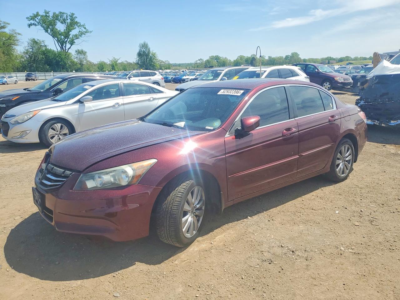 Salvage Honda Accord Image