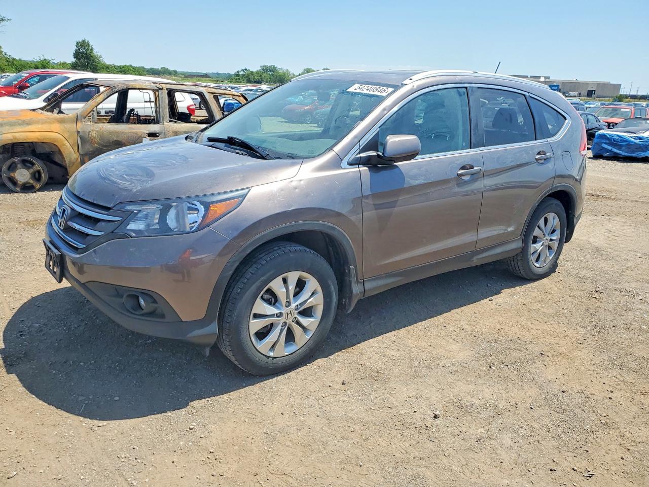 Salvage Honda Crv Image