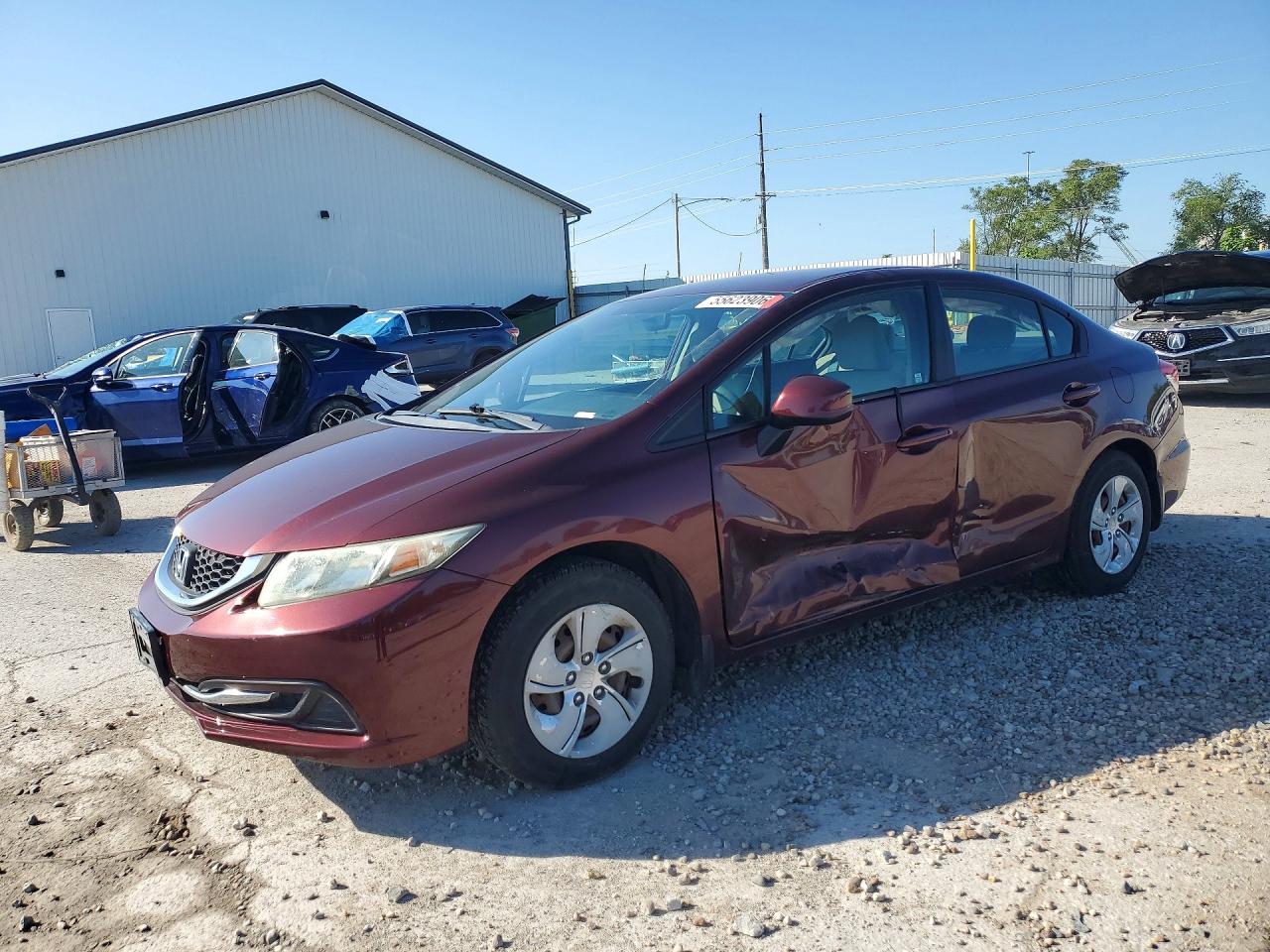 Salvage Honda Civic Image