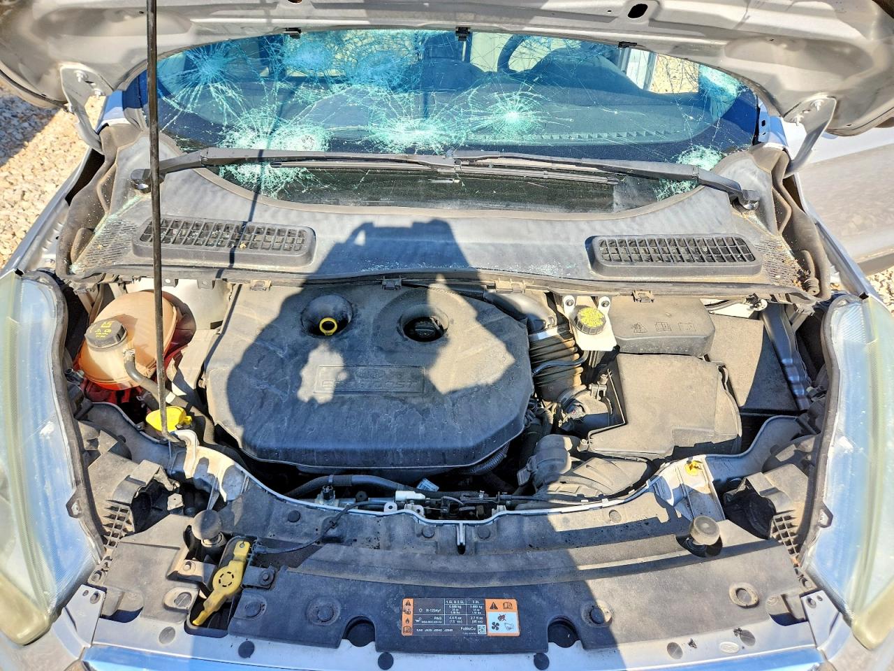Ford Escape Se
