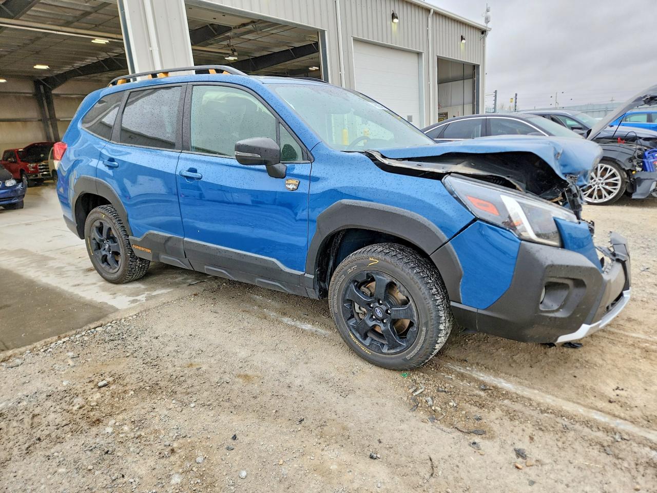 Subaru Forester Wilderness