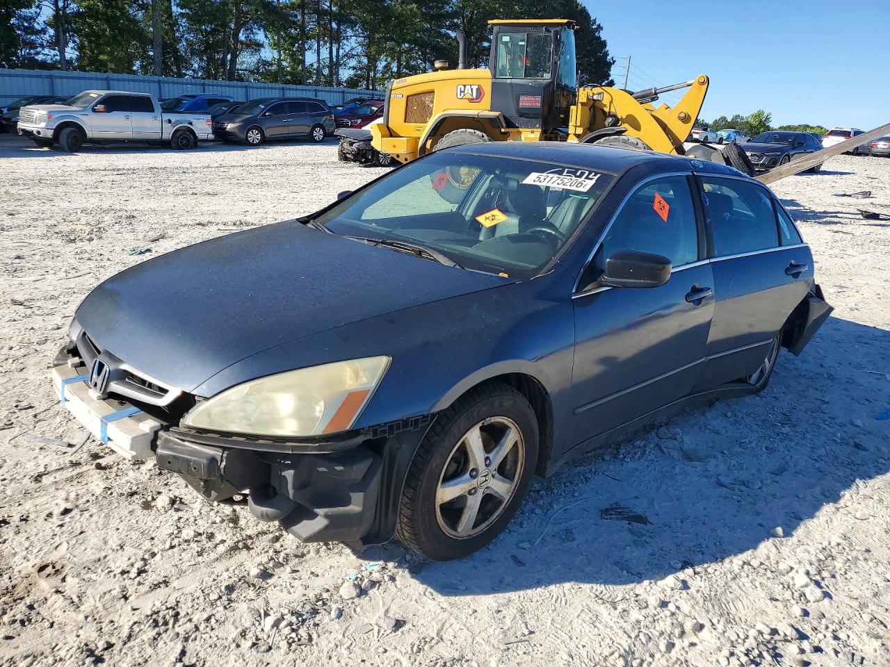 Salvage Honda Accord Image